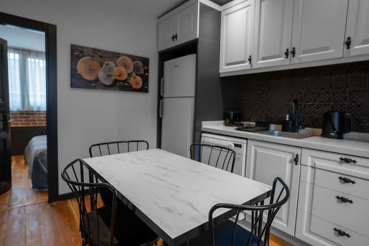 Designed 2Br Rooftop Duplex With Private Terrace Istanbul Apartment